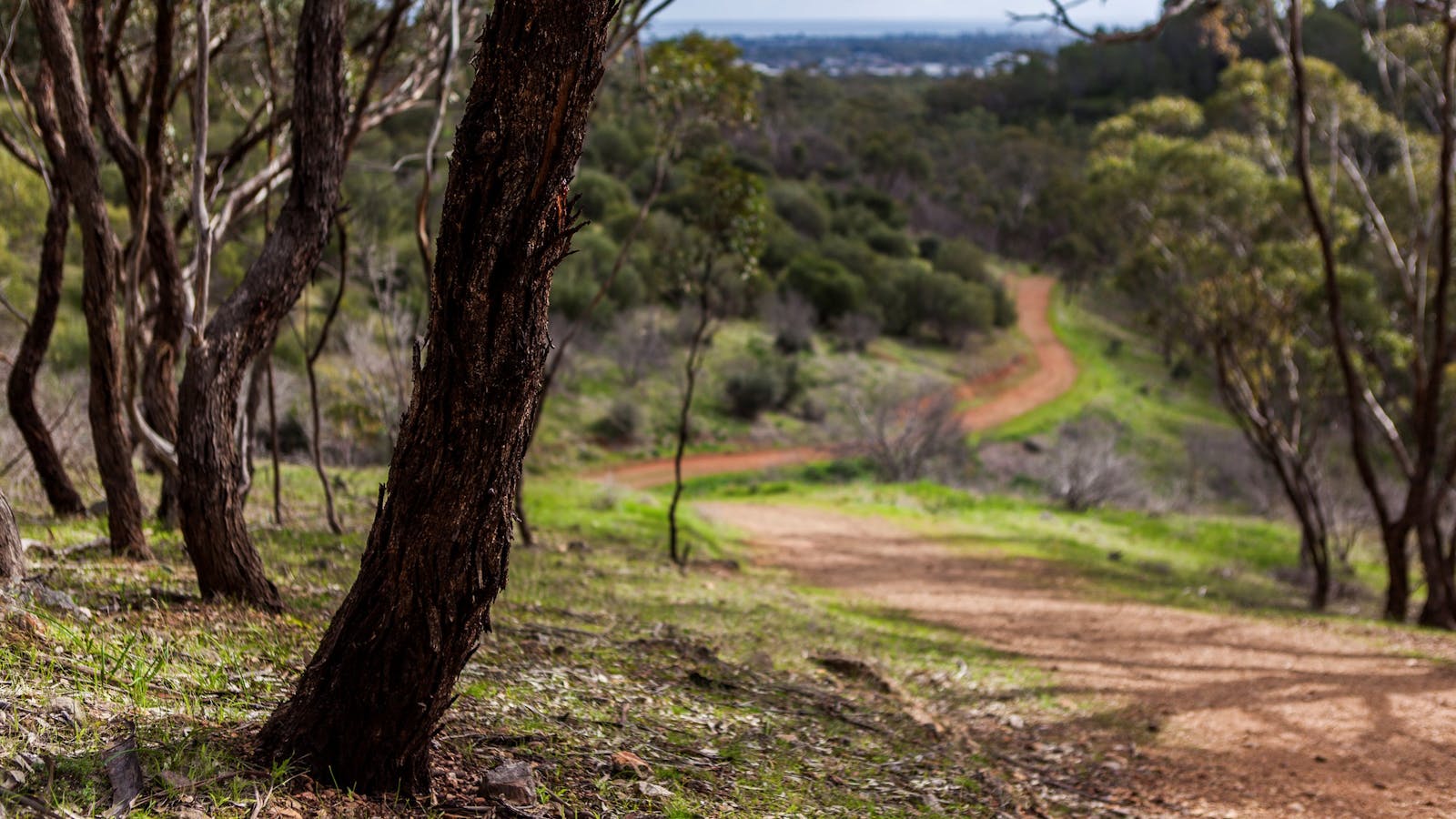 Shepherds Hill Recreation Park