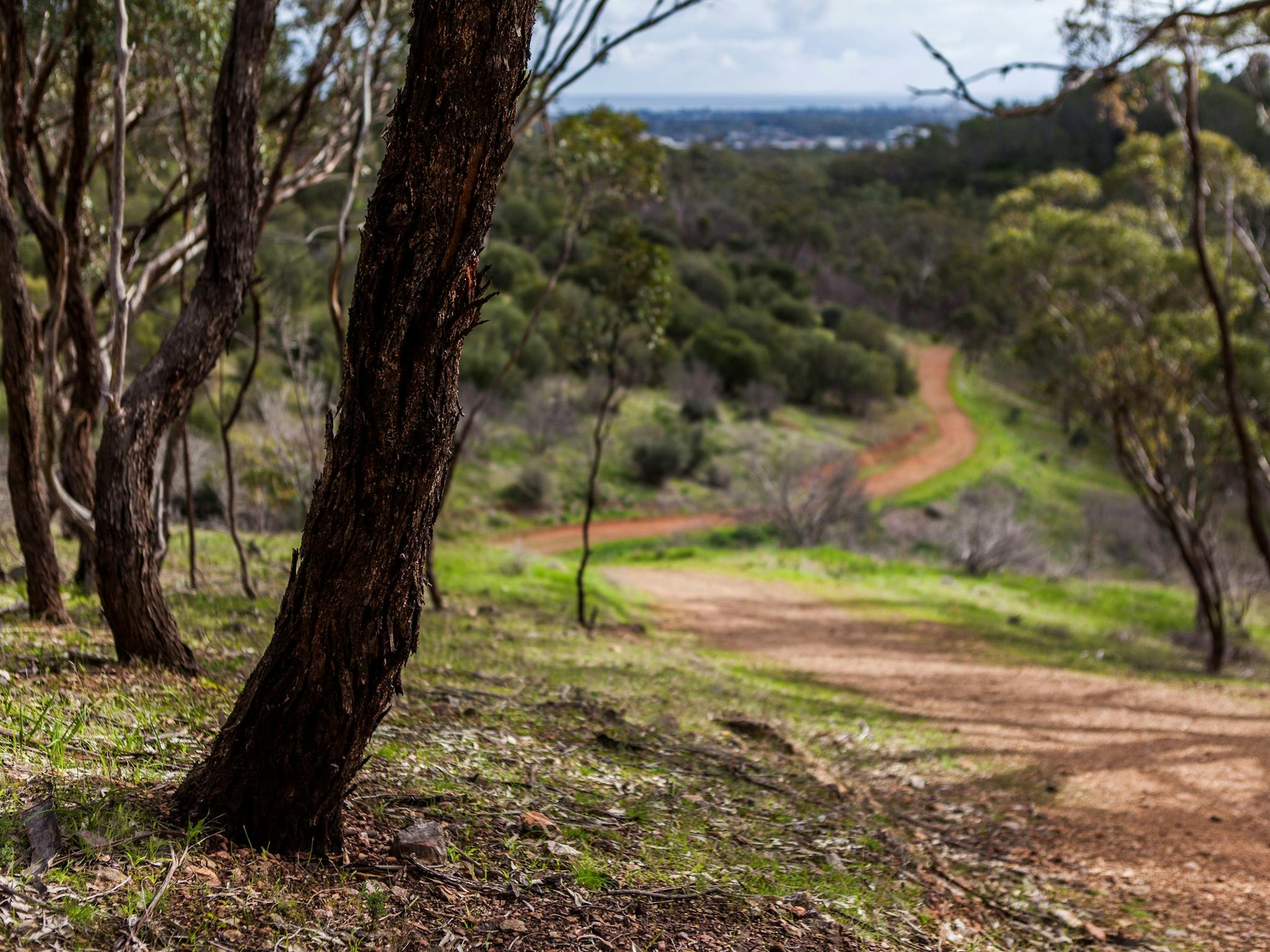 shepherds hill