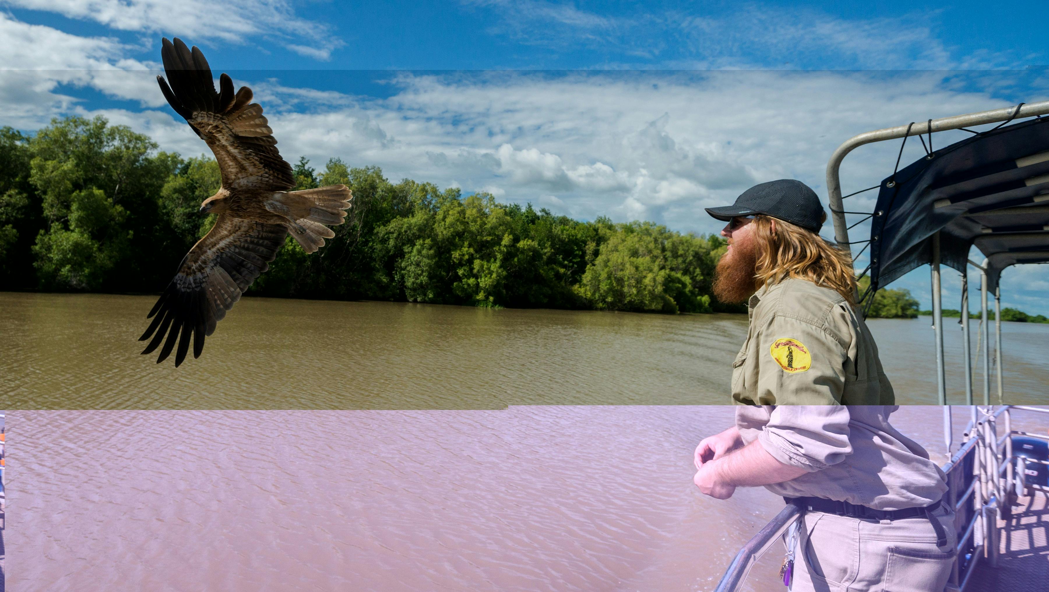 Jumping Crocodile Cruise with Sacred Owl Tours