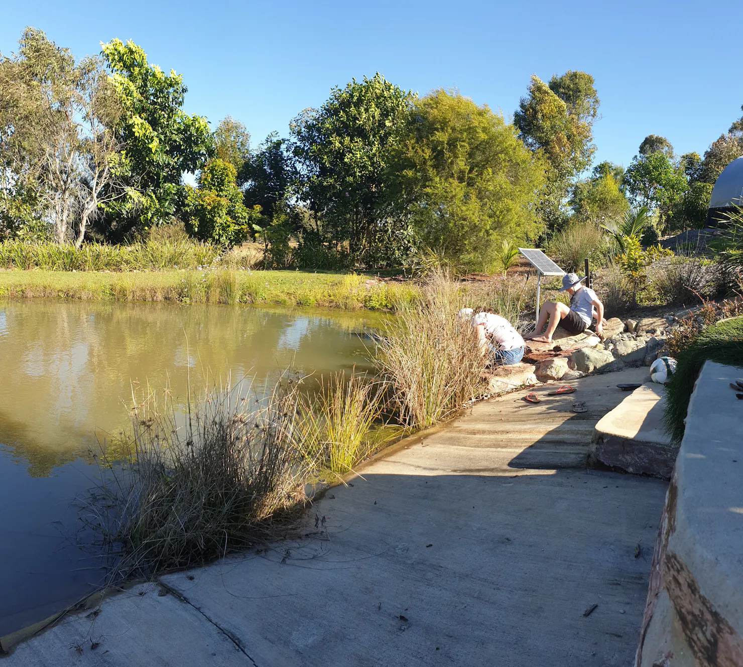 Spring Fed Dam