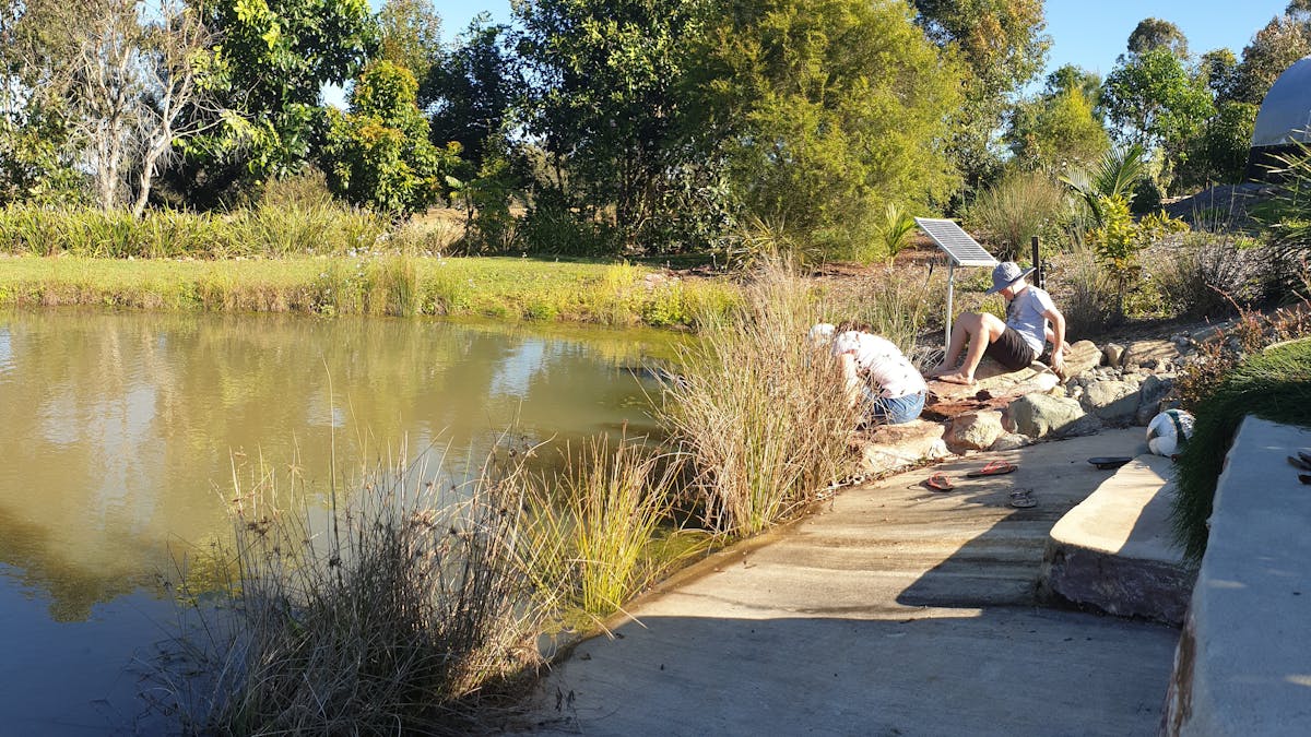 Spring Fed Dam