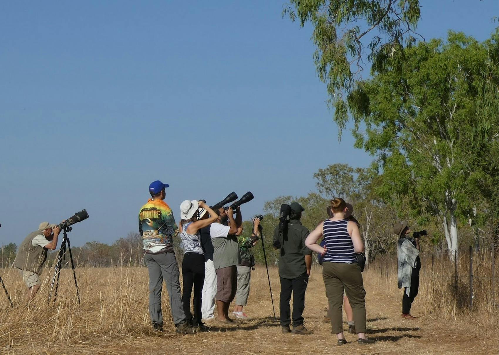 Birdwatching Safari of Kakadu & Litchfield National Parks