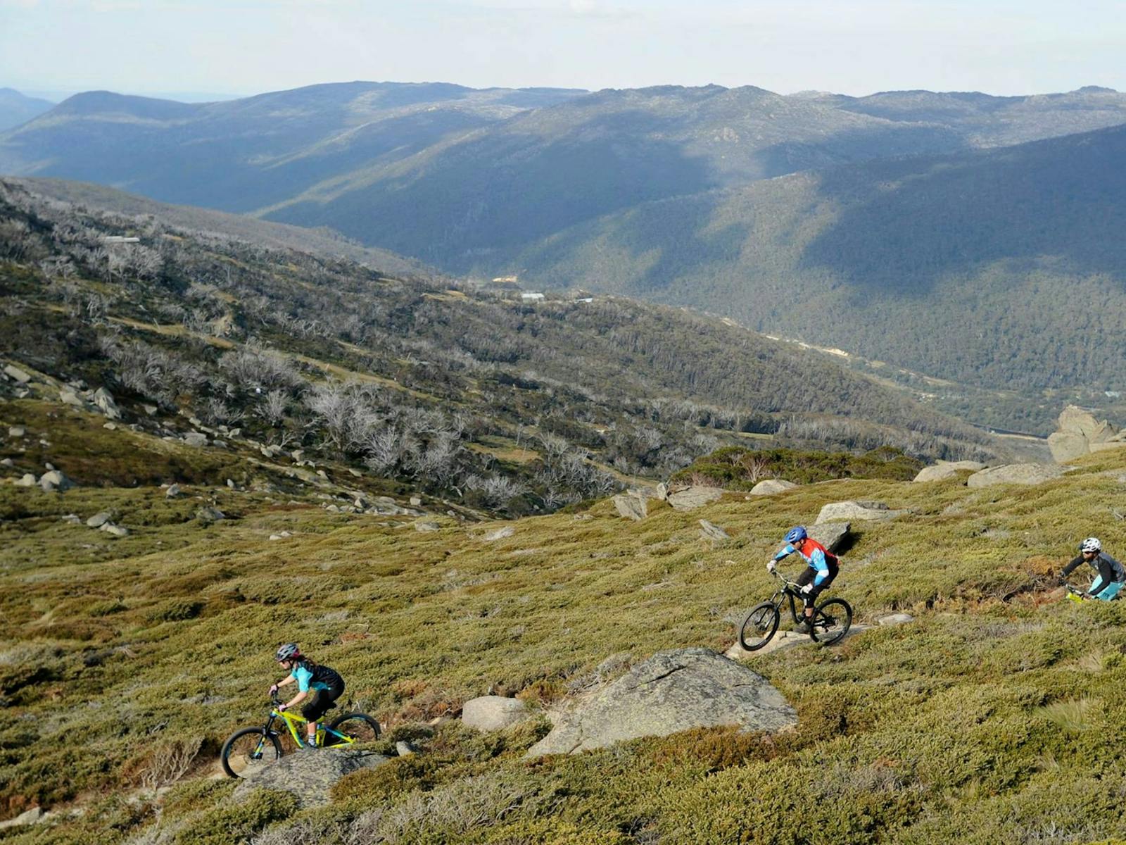 Thedbo Mountainbiken