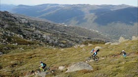 Thredbo Mountain Biking