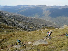 Thredbo Mountain Biking