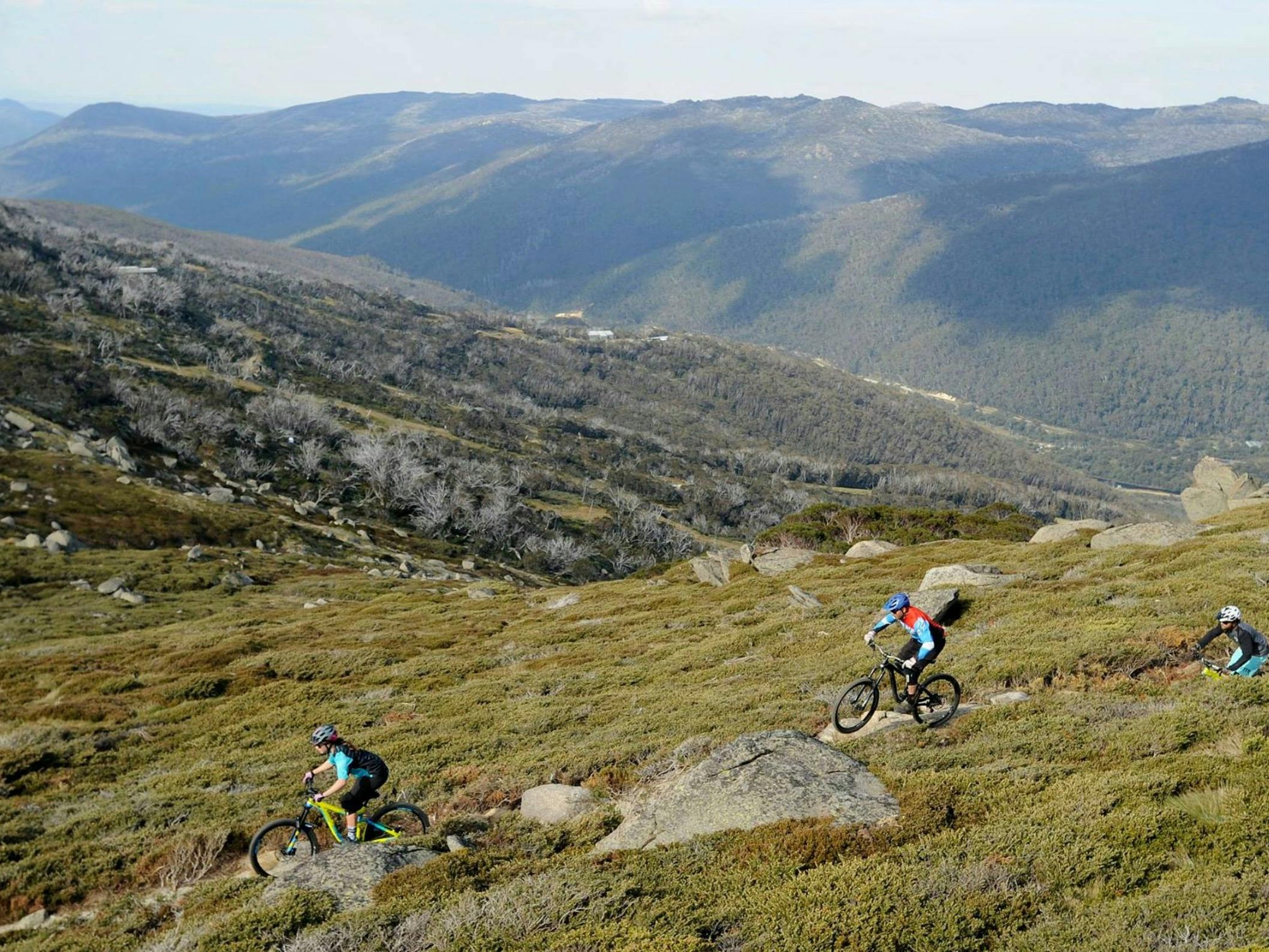 Thredbo Mountain Biking