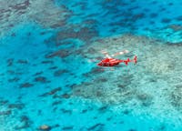 Reef Scenic Flight