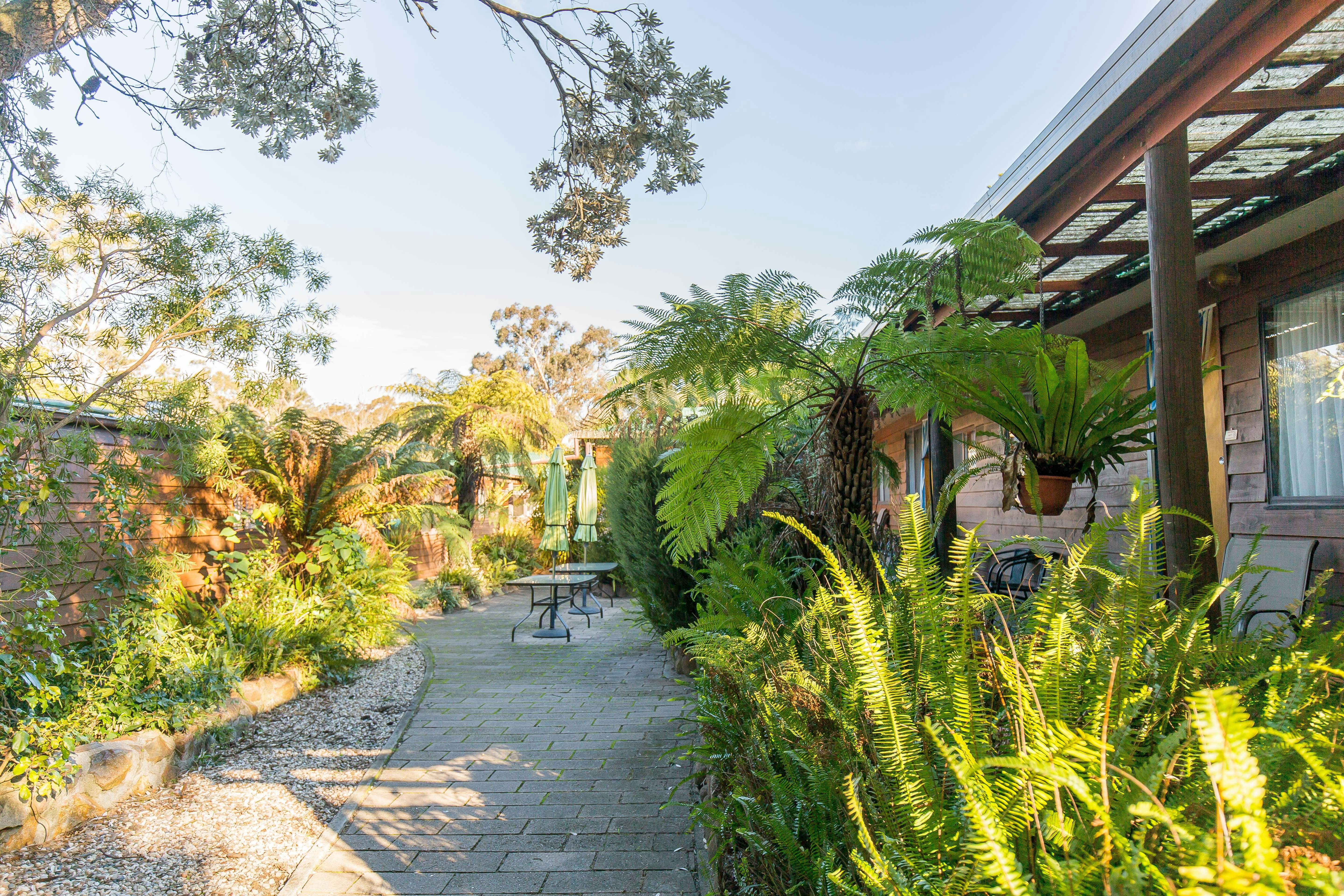 This is the central courtyard for the cabins. A great spot to enjoy dinner or a drink.