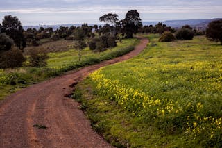 O'Halloran Hill Recreation Park