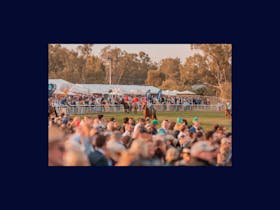 Wagga Gold Cup Carnival Cover Image