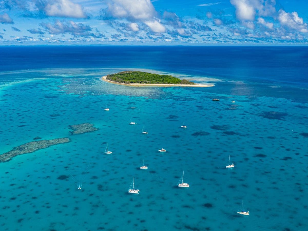 Lady Musgrave Island