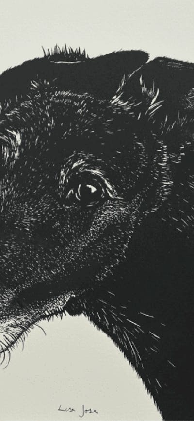 Print of a dog called Diana (detail) by Lisa Jose