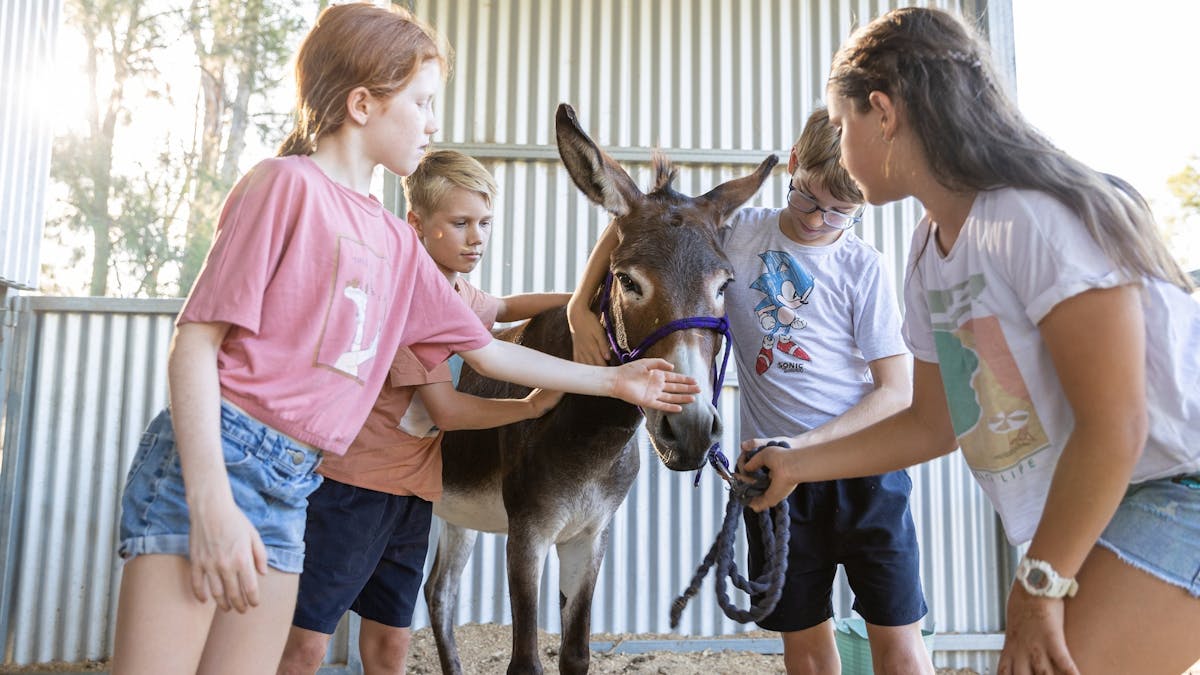 everyone gets to interact with the animals