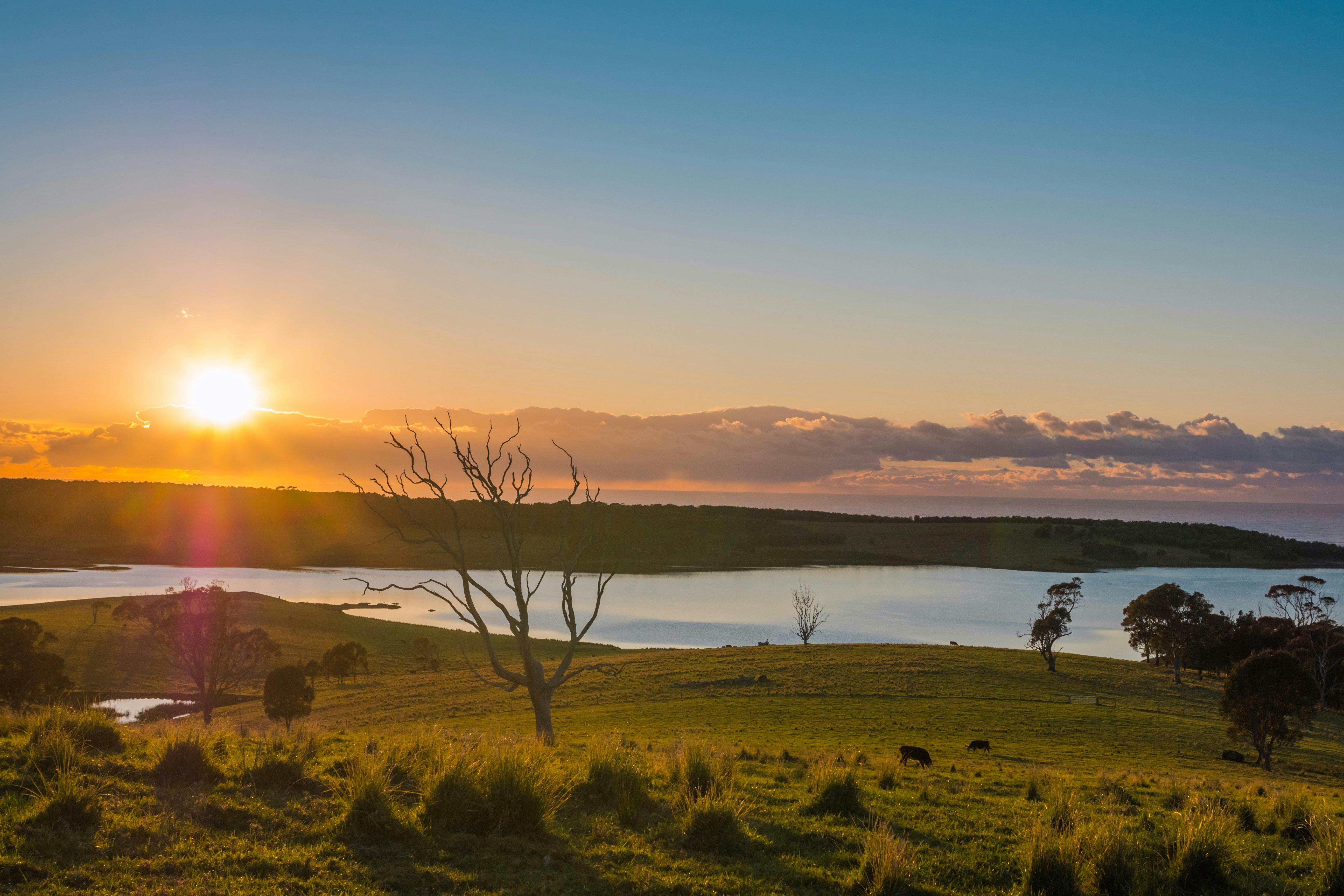 太平洋和蒂爾巴湖的景色