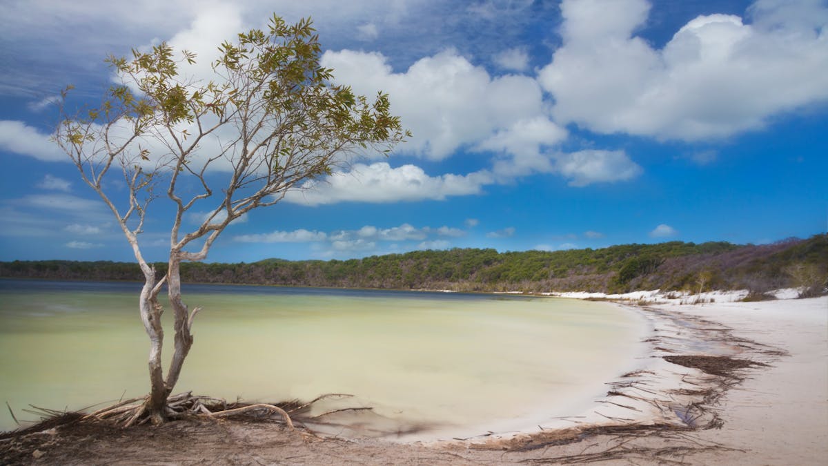 Lake Birrabeen