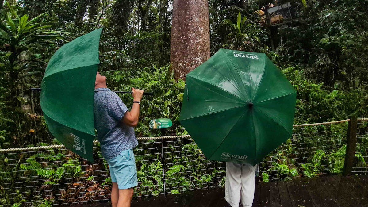 private tour , Kuranda experience Skyrail