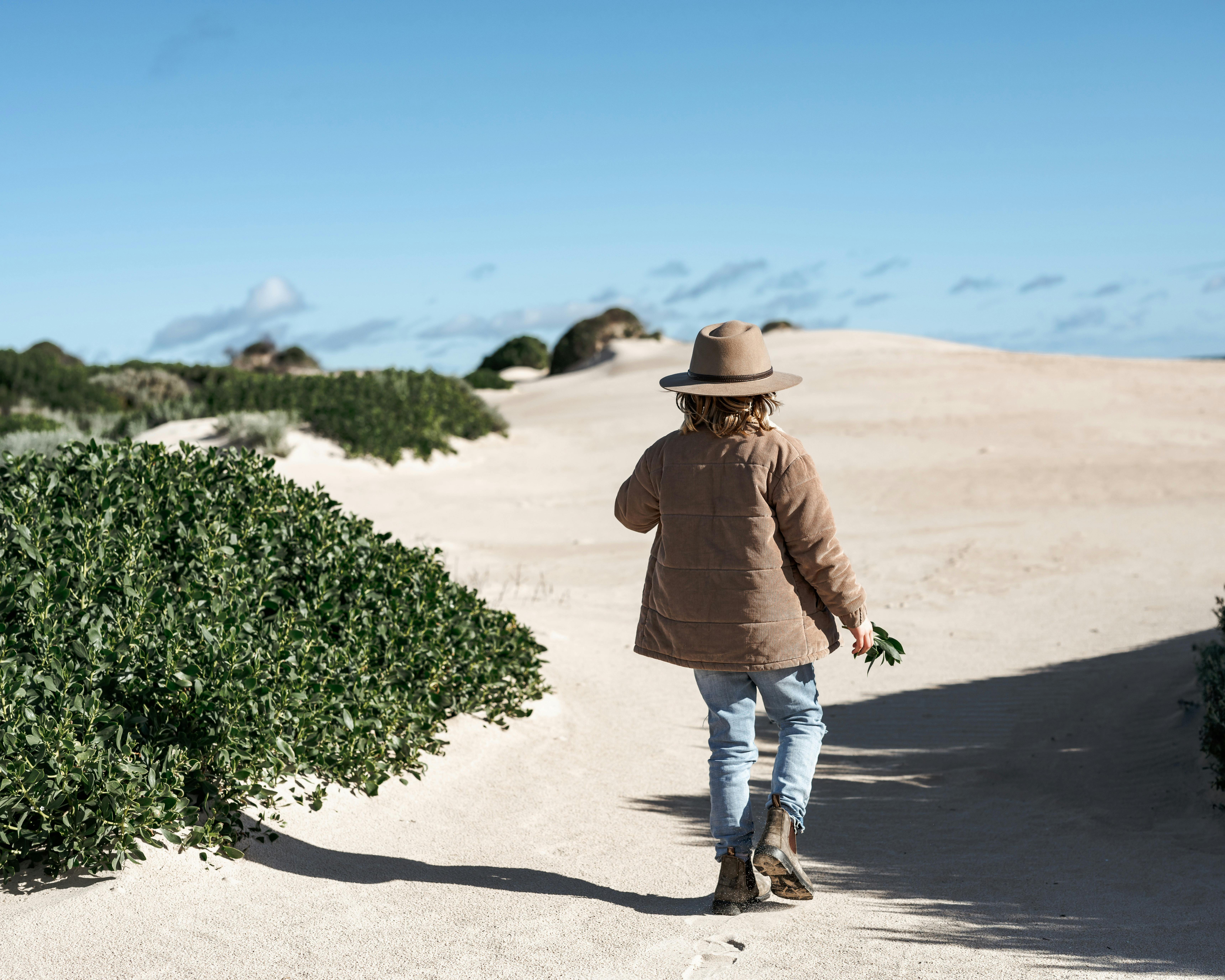 A child wearing a hat and brown jacket walks through sandy dunes, holding greenery, under a clear sk