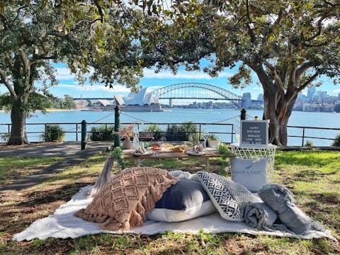 贅沢なピクニック体験