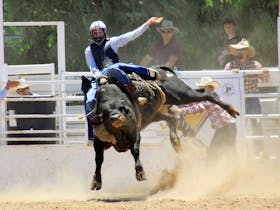 Deniliquin Rodeo