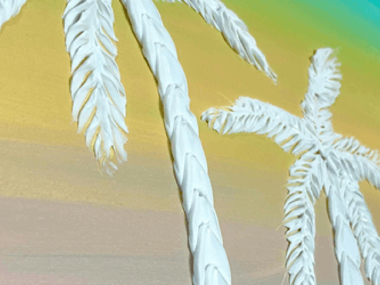 Palm Tree