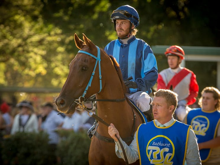 Bathurst Thoroughbred Racing