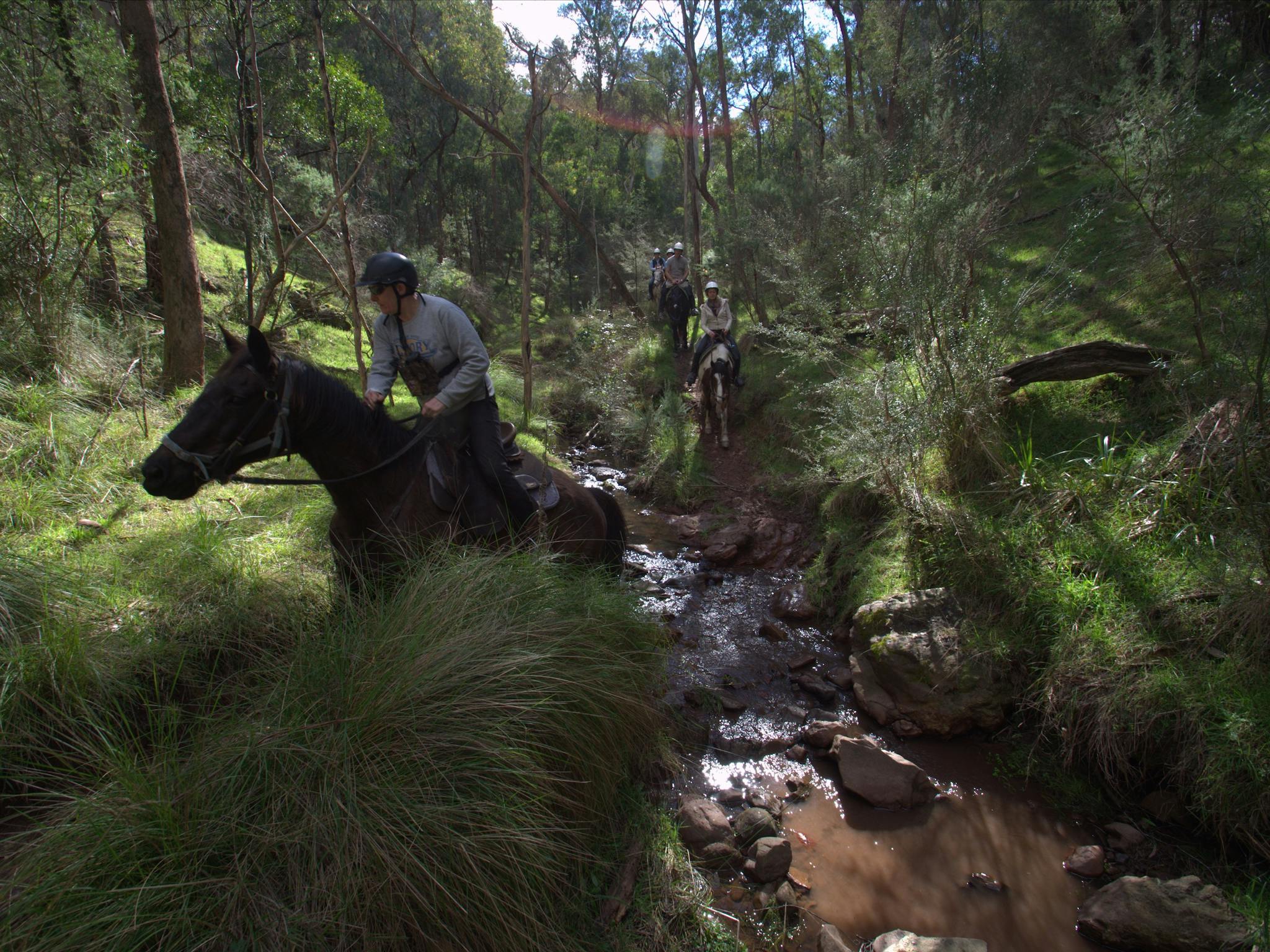 Following bridle trails on horseback