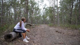 Sheep_Station_Creek_Park_bushland_stump_seating_caboolture_moreton_bay_region