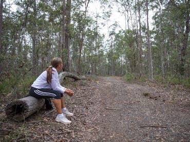 Sheep_Station_Creek_Park_bushland_stump_seating_caboolture_moreton_bay_region