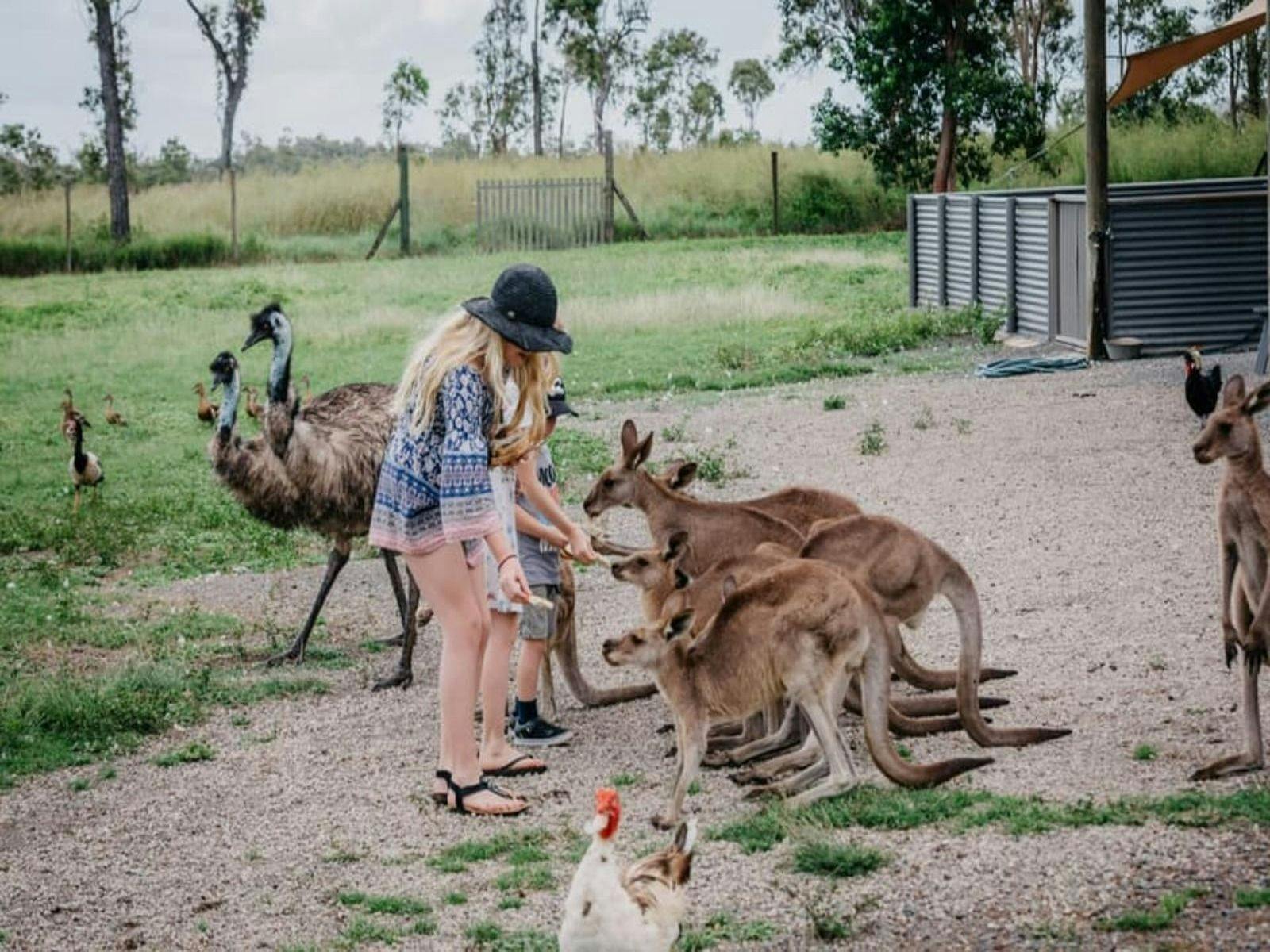 Meet the wildlife