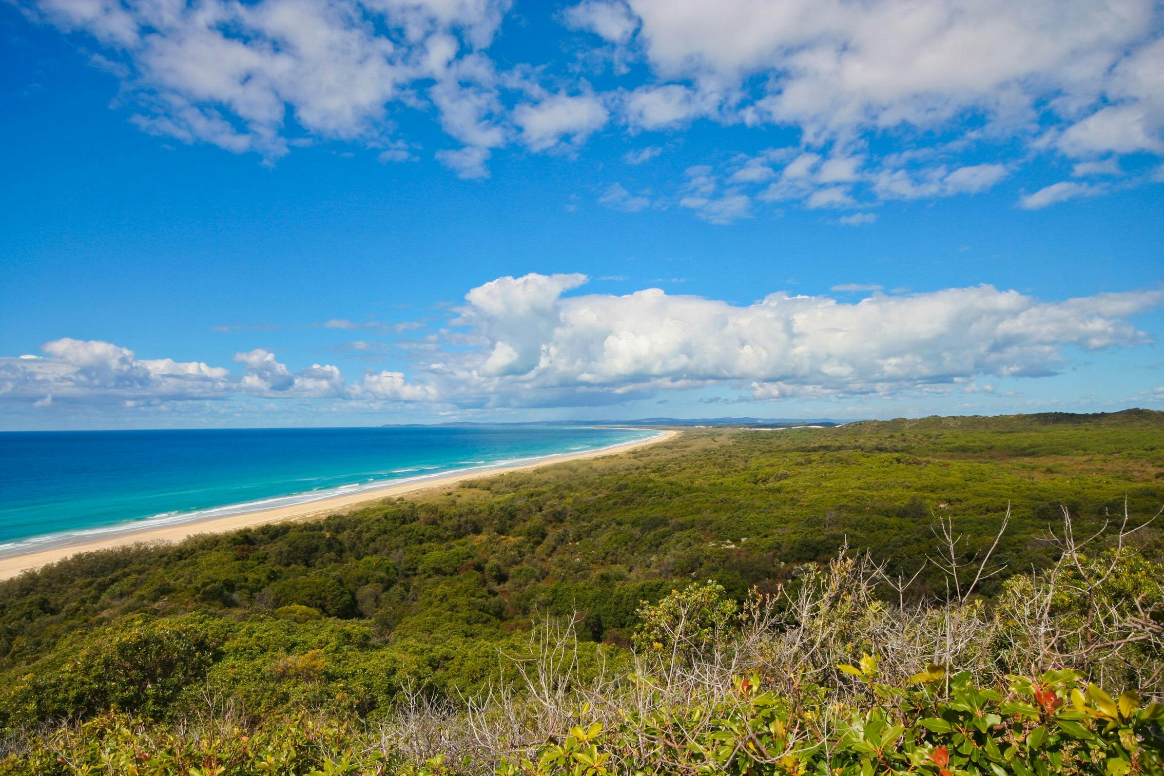 Tangalooma Southern Safari Tour