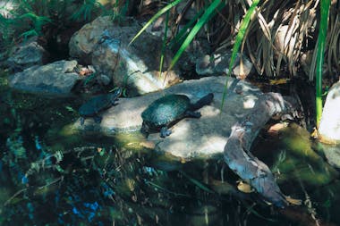 Howard Springs Nature Park