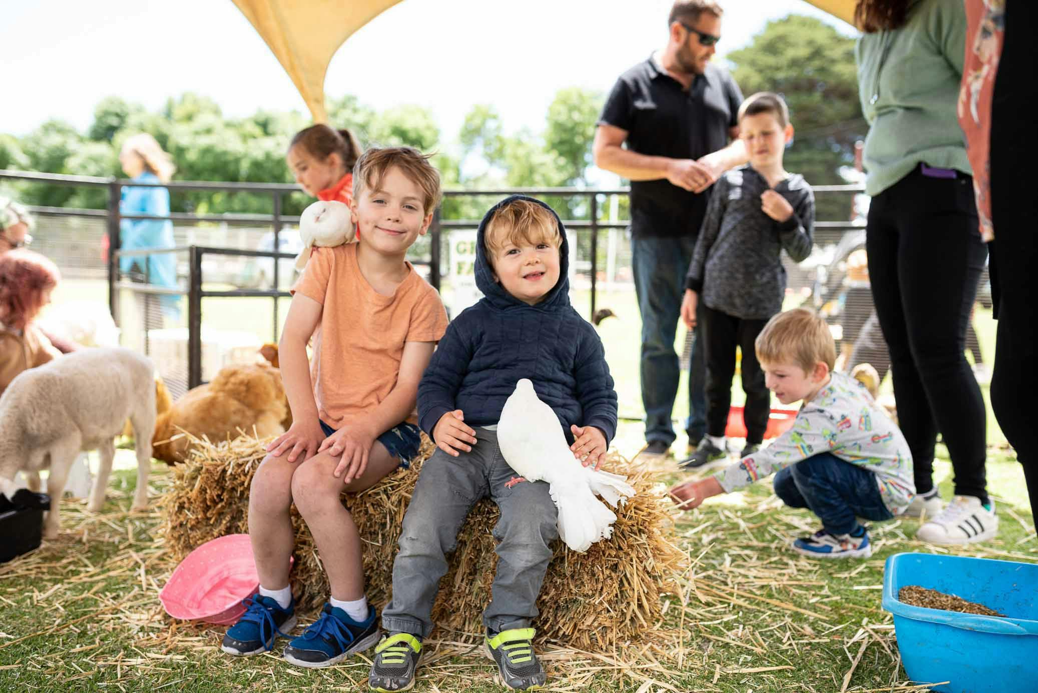 Willunga Almond Blossom Festival McLaren Vale