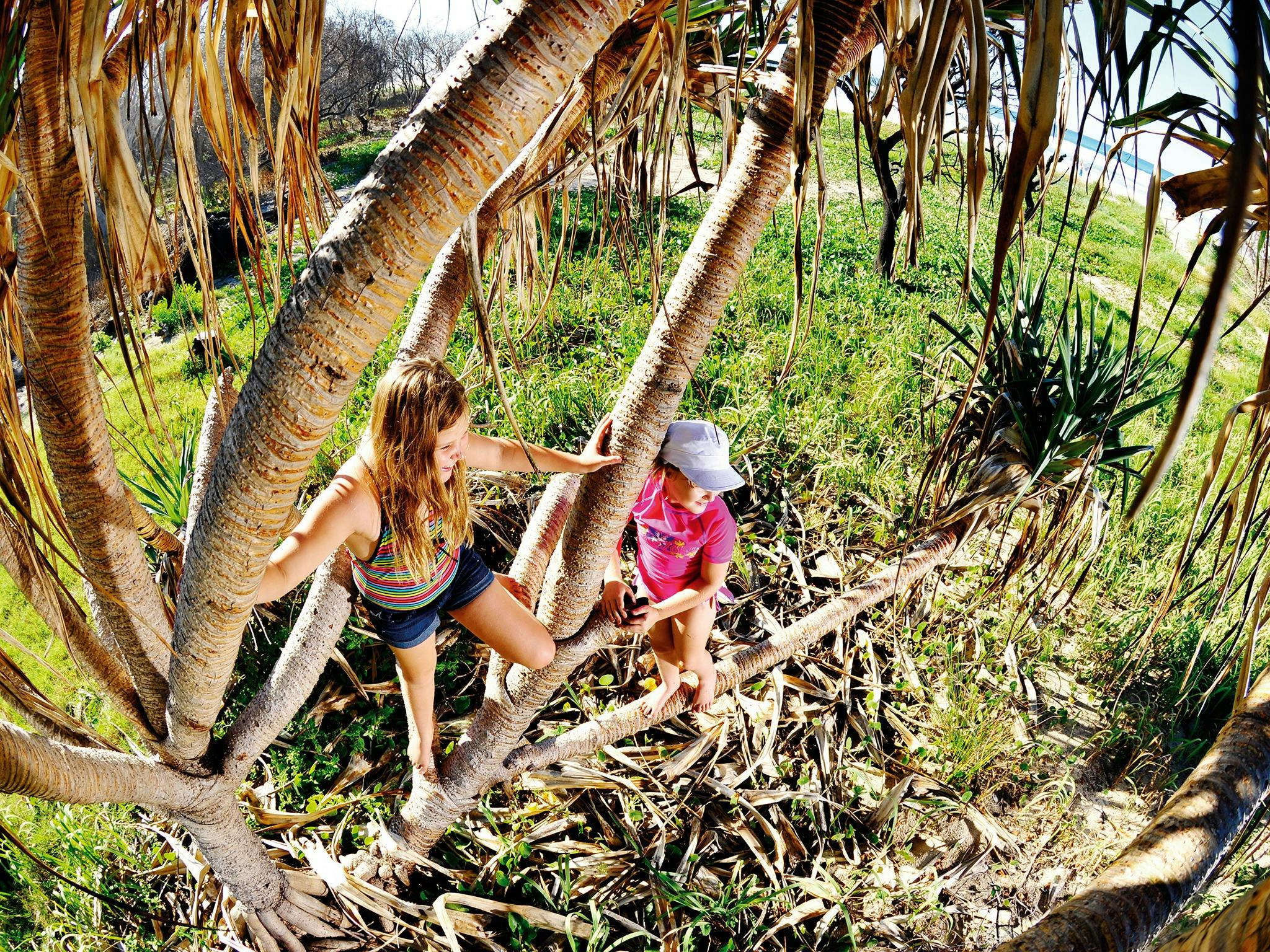 Let the kids run wild in Wooli