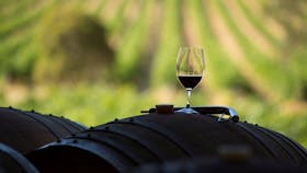 A nice glass of red straight from barrel