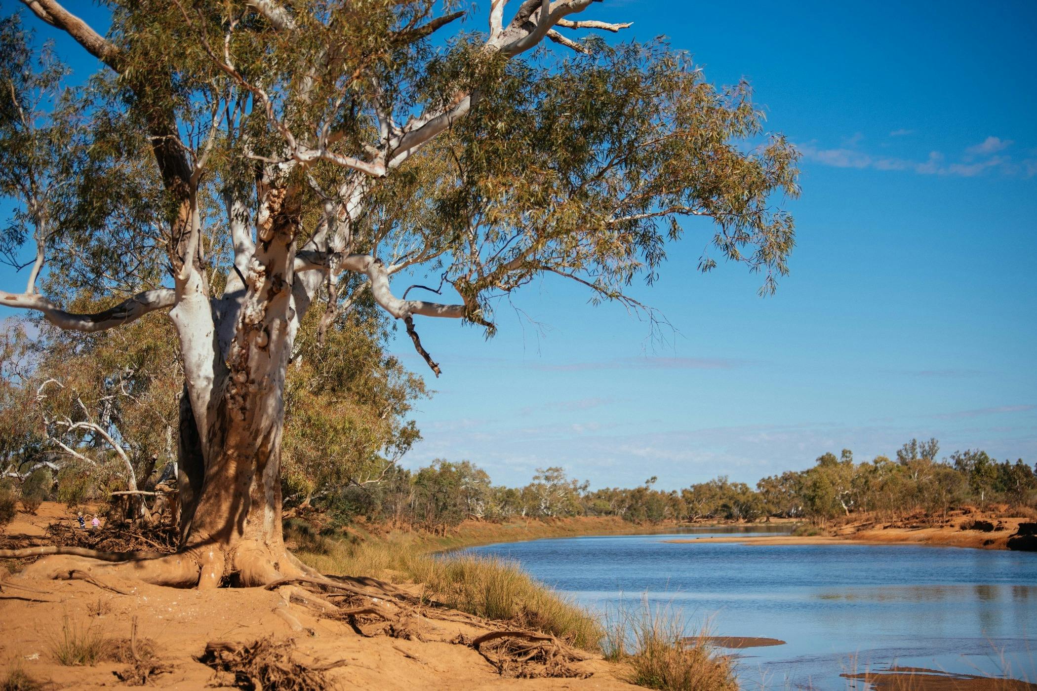 The Murchison River at Wooleen Station