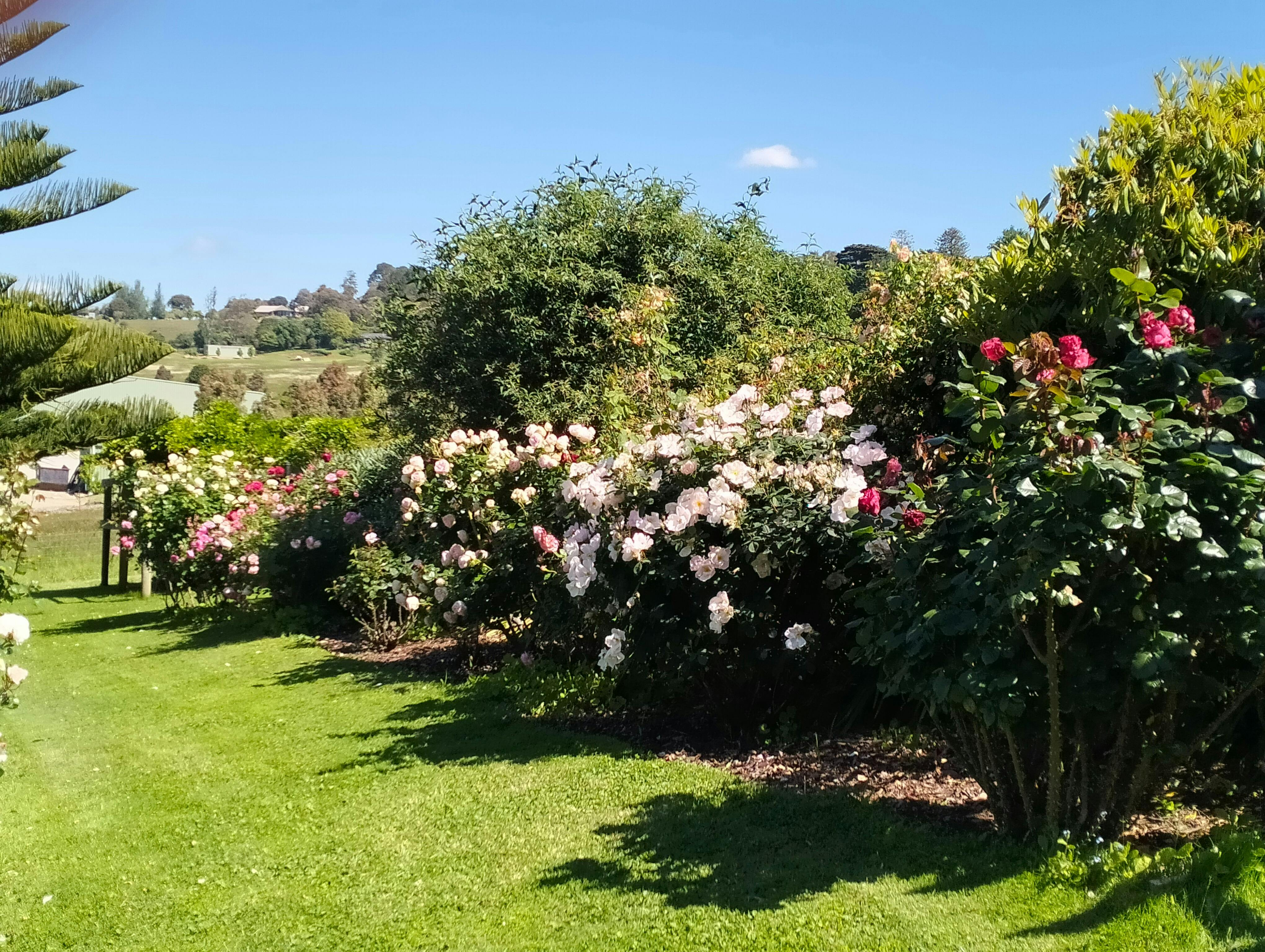 Mont De Lancey Rose Garden