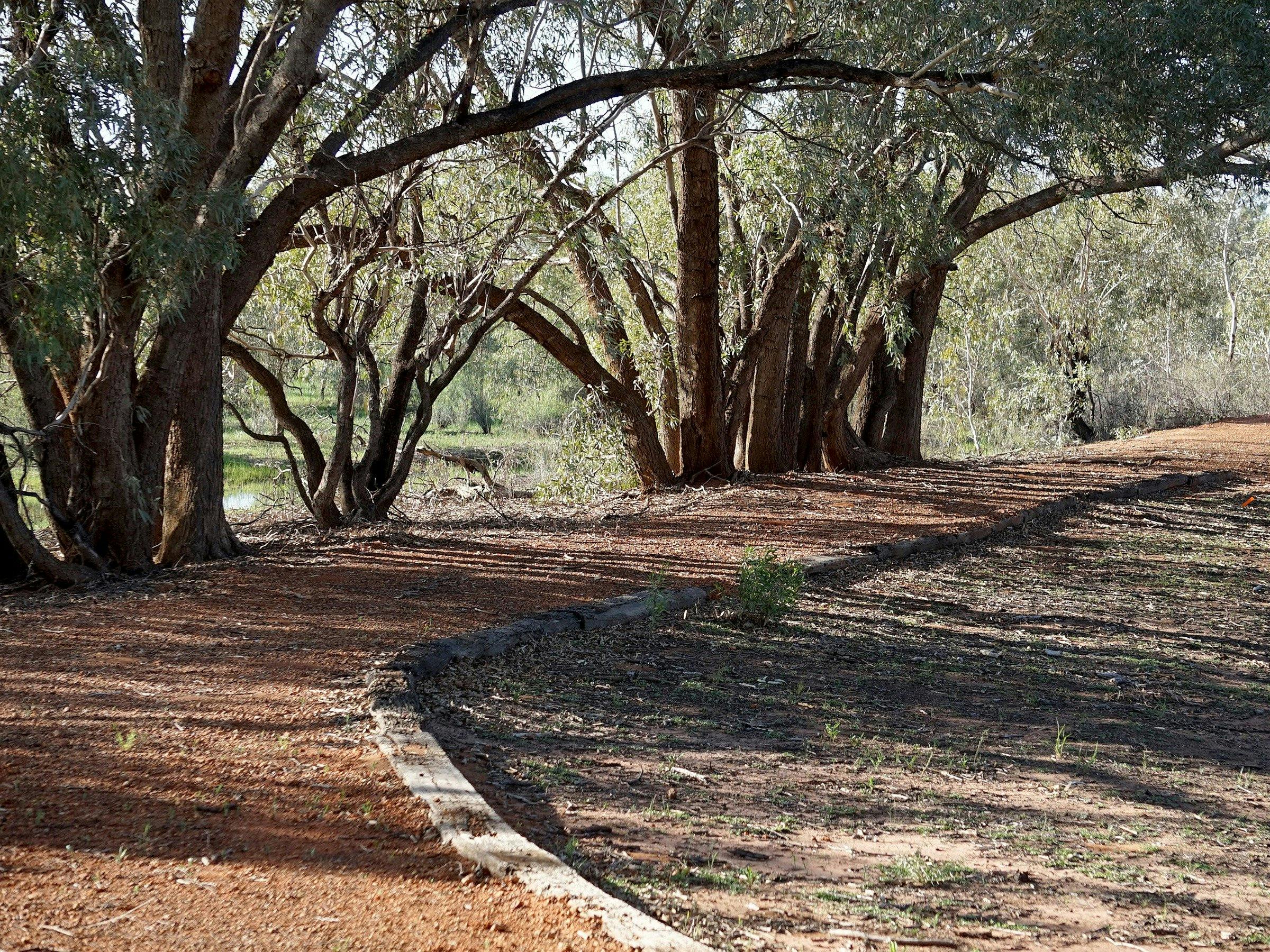 Warrego Floodplain walking track