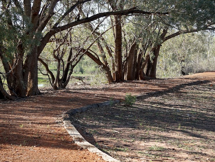 Warrego Floodplain walking track, Toorale National Park