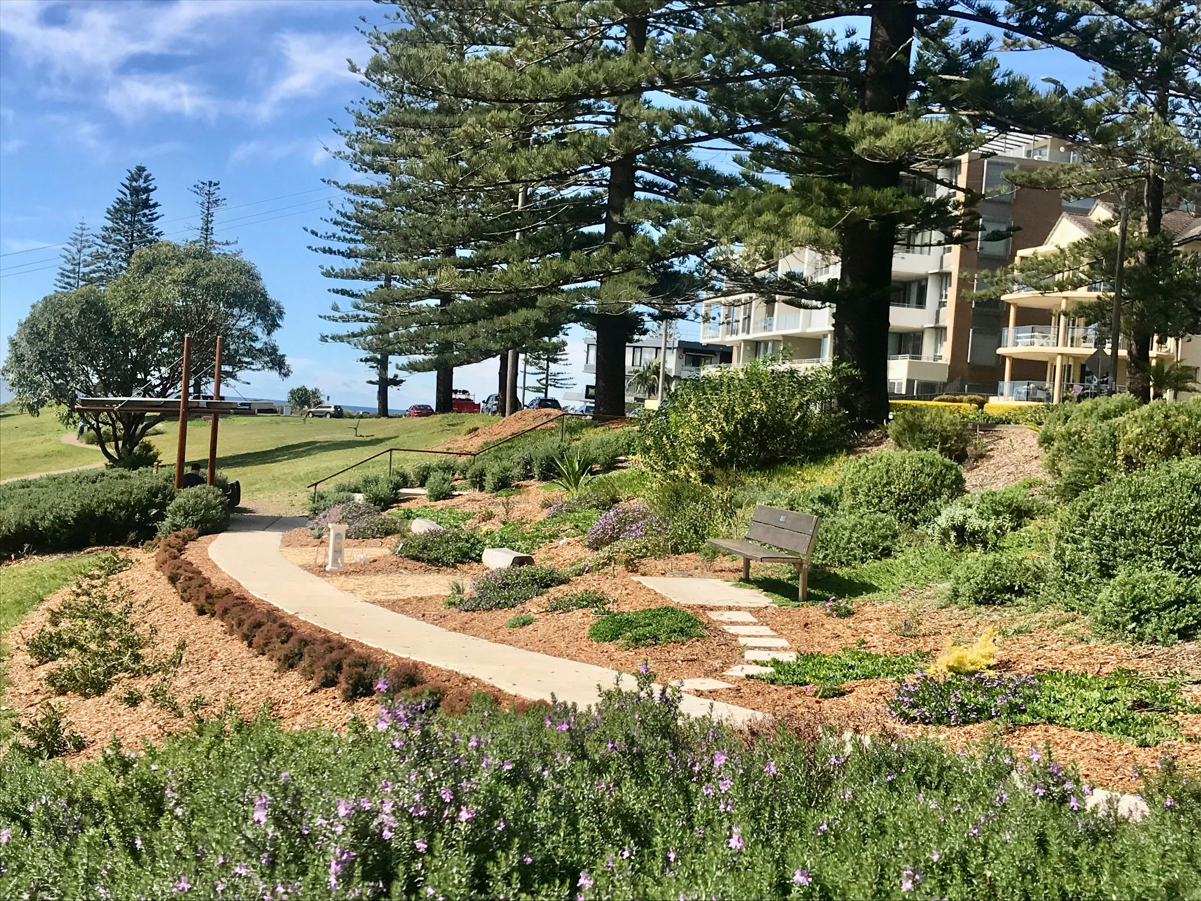 Mobility friendly pathway connecting the shelters & dementia friendly sensory garden.