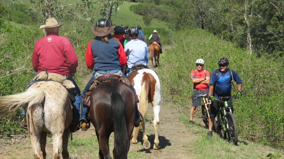 horse ride trail