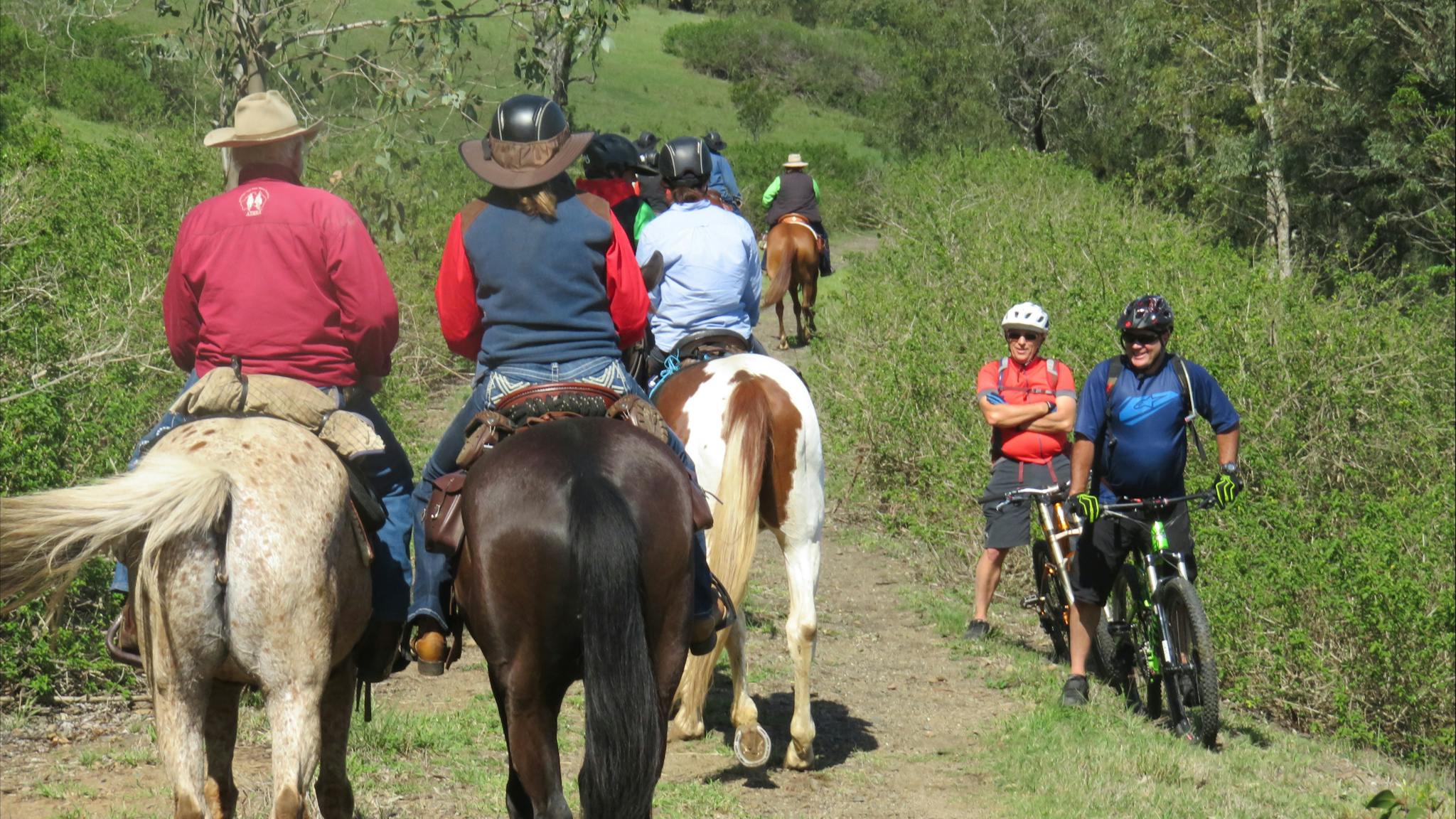 horse ride trail horse ride trail