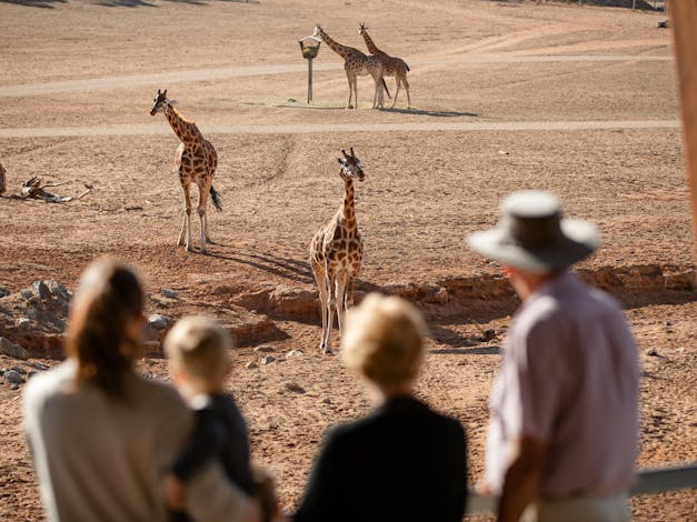 Monarto Safari Park