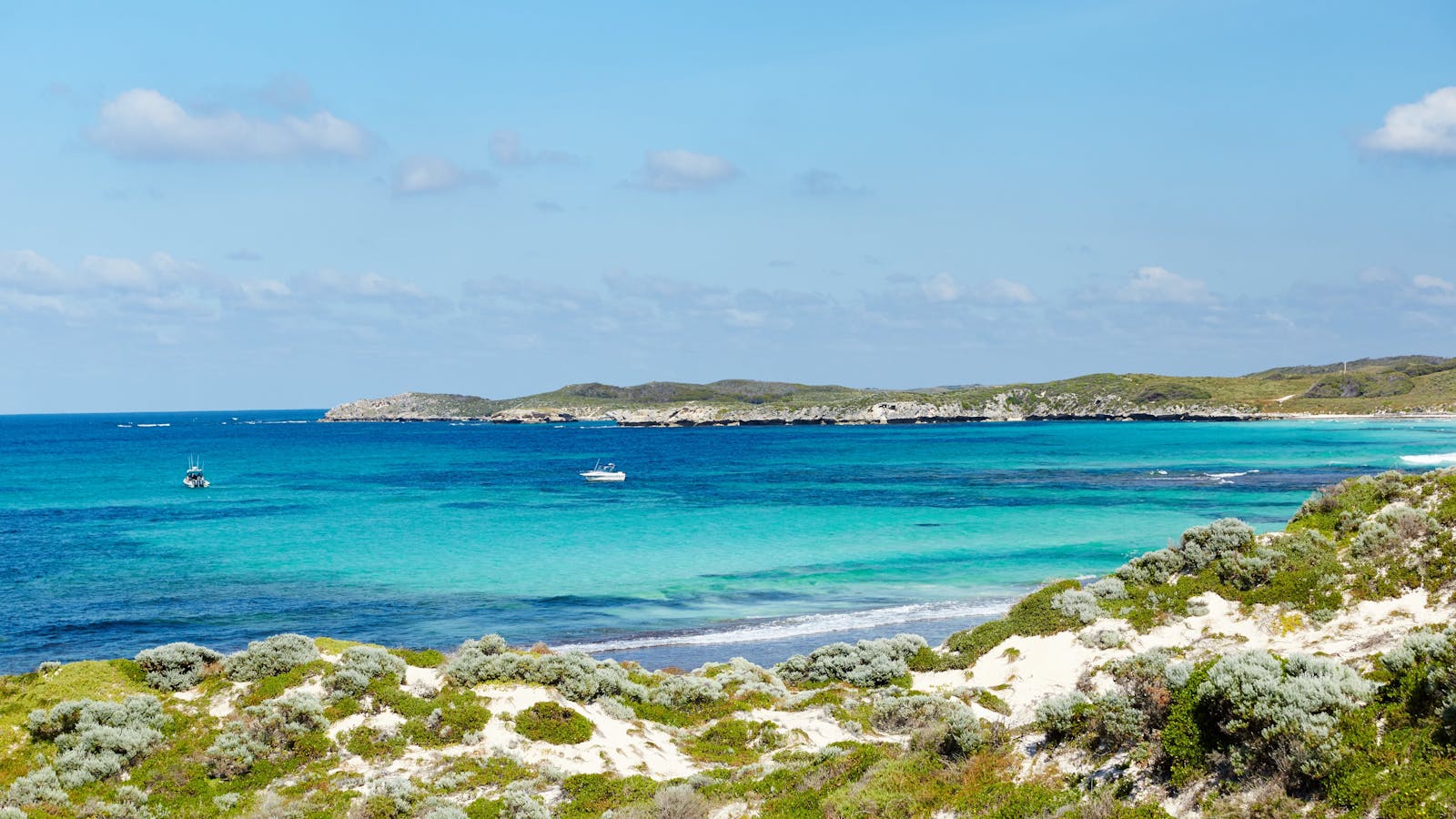 Salmon Bay