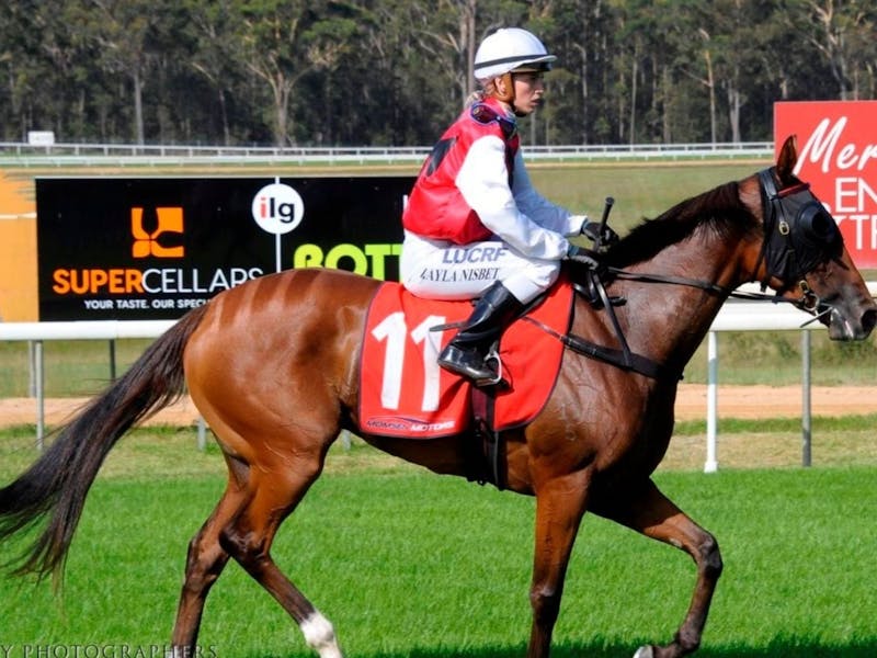 Image for Merimbula Cup Race Day