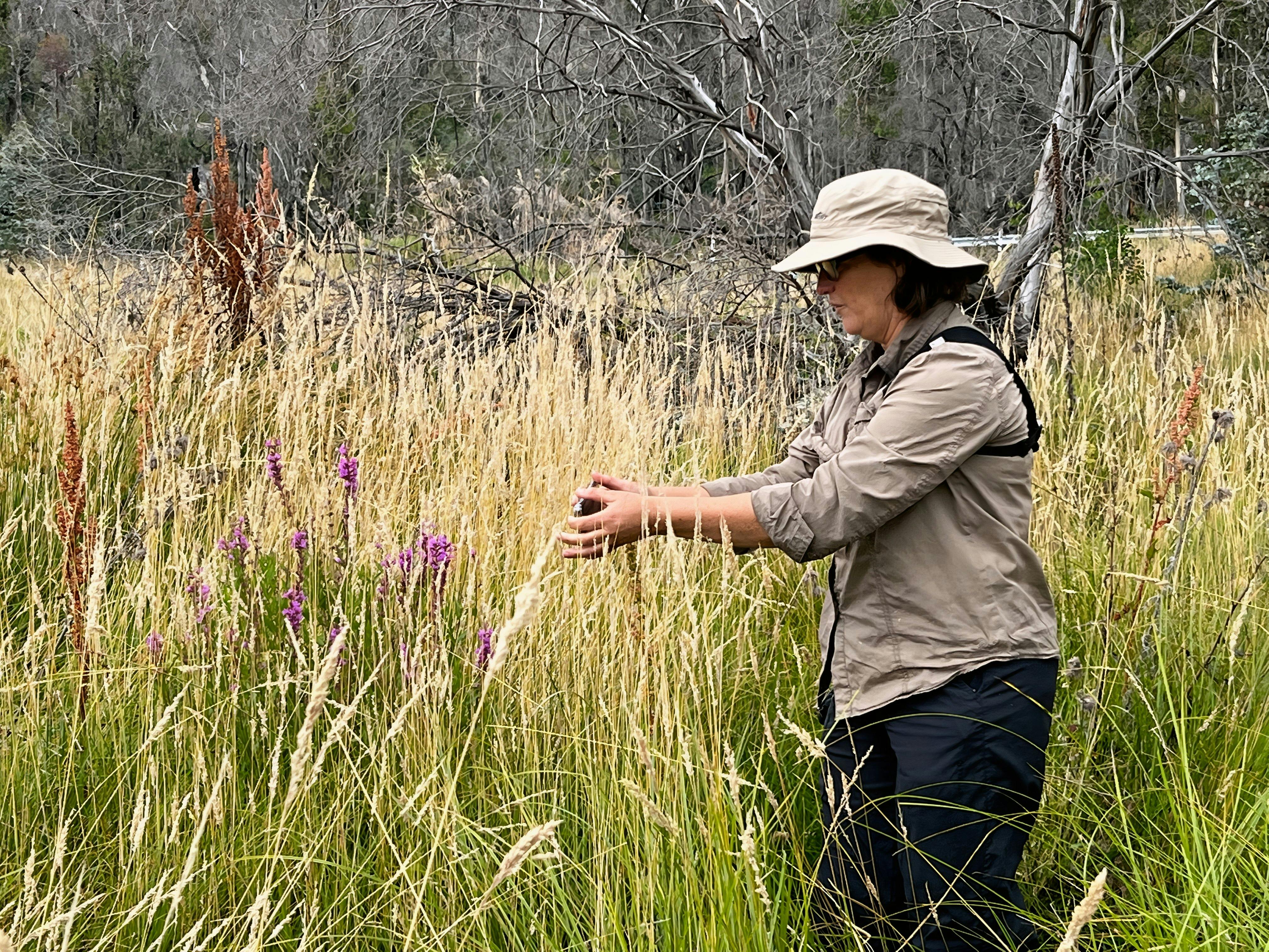 NatureArt Lab