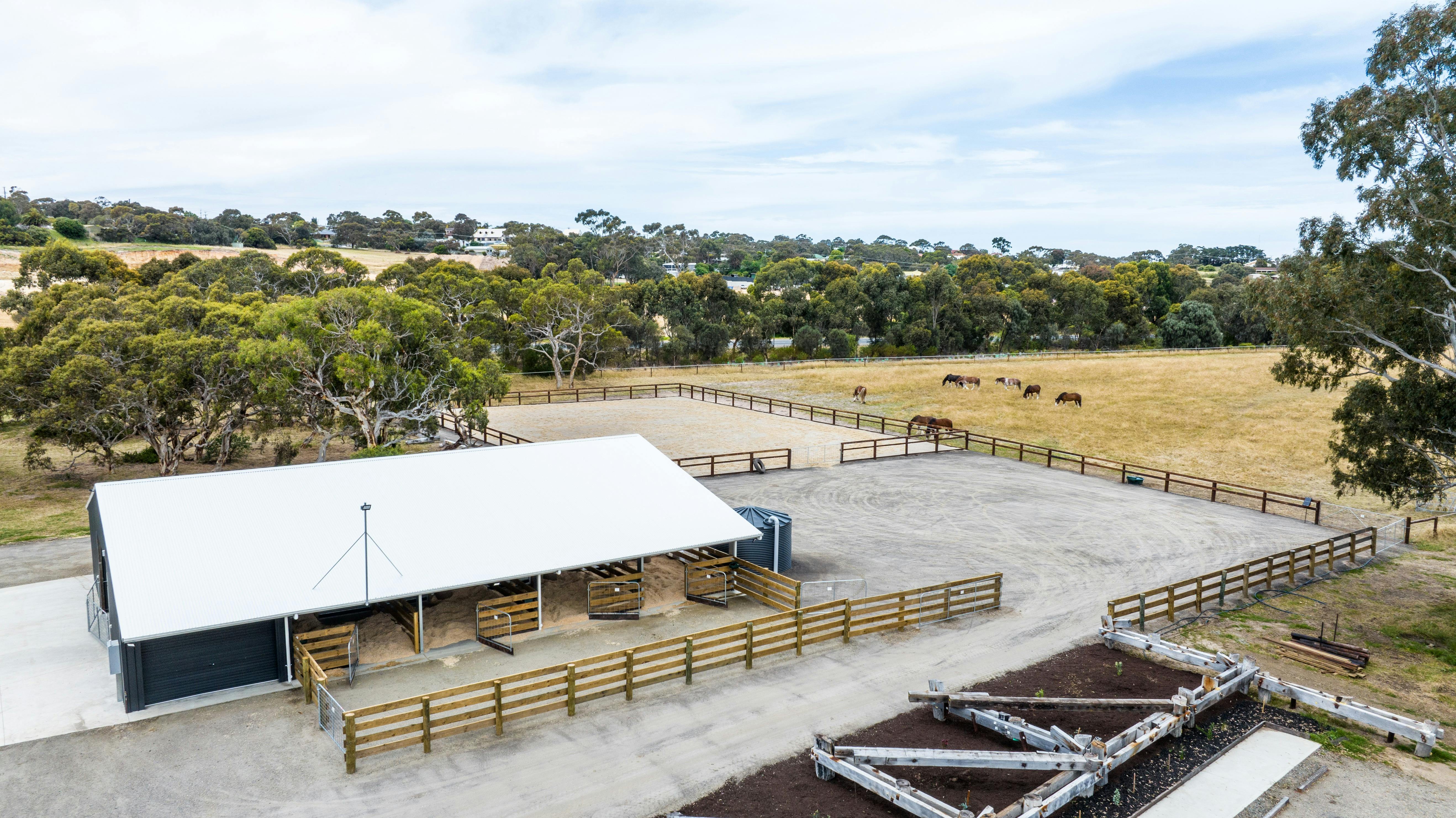 Behind-the-Scenes Experience of the Victor Harbor Horse Tram