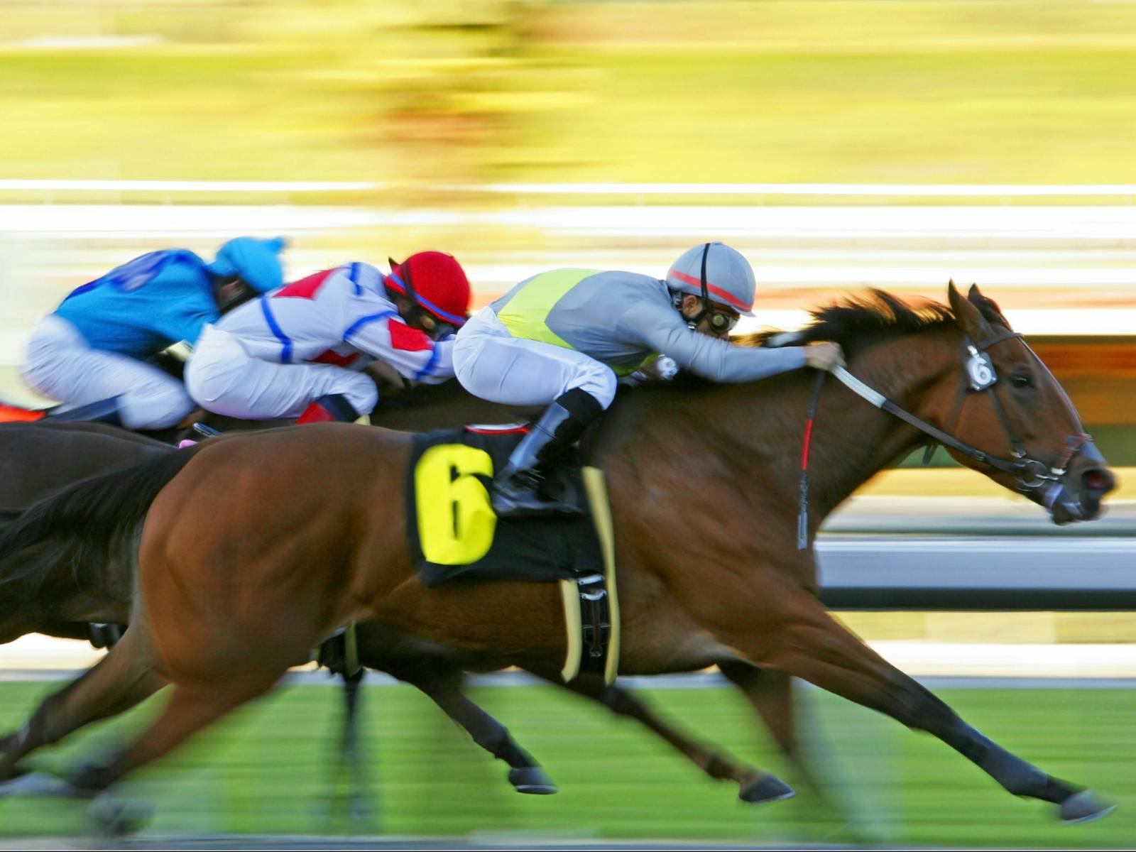 St Mary's Cup Horse Races