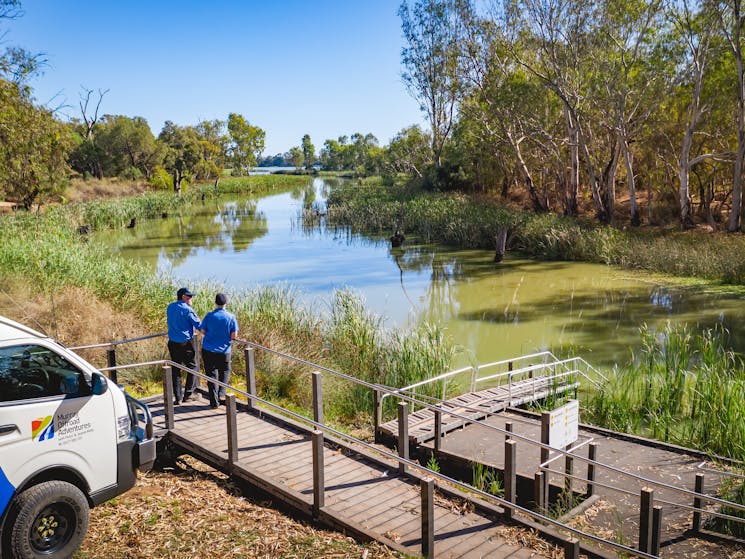 Explore this beautiful wetland without travelling too far from Mildura