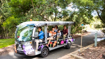 Catch a ride on the Flora Exporer