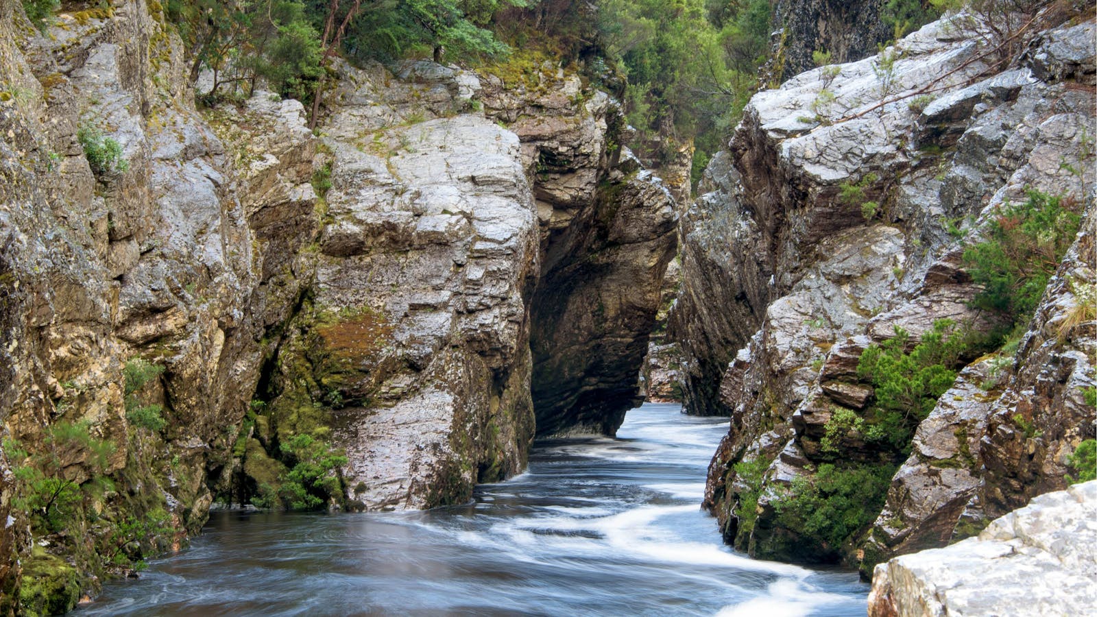 Franklin River Rafting
